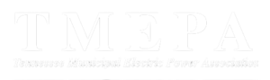 tmepa-logo