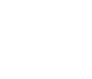 American_Public_Power_Association_white